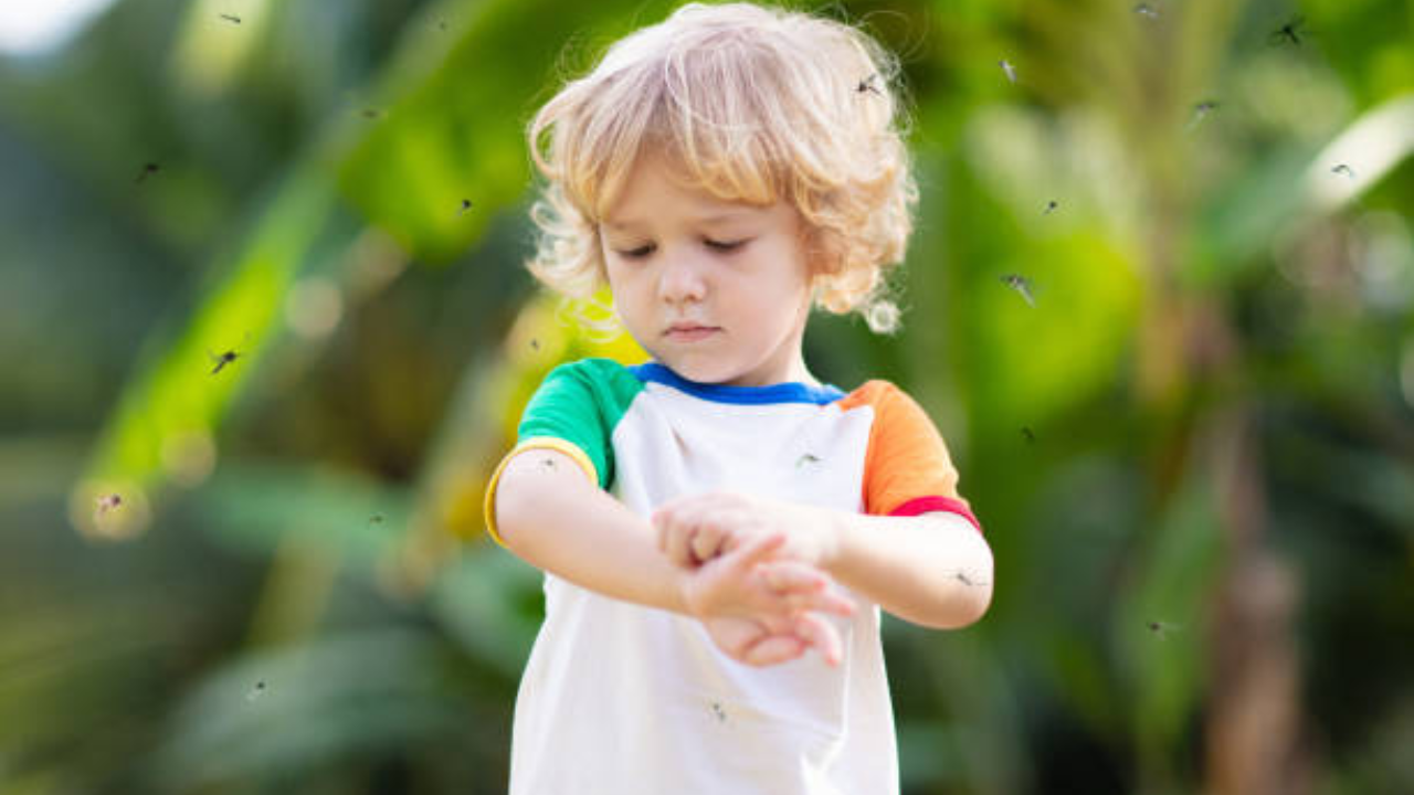 Mosquito Repellent Sheets In Hindi