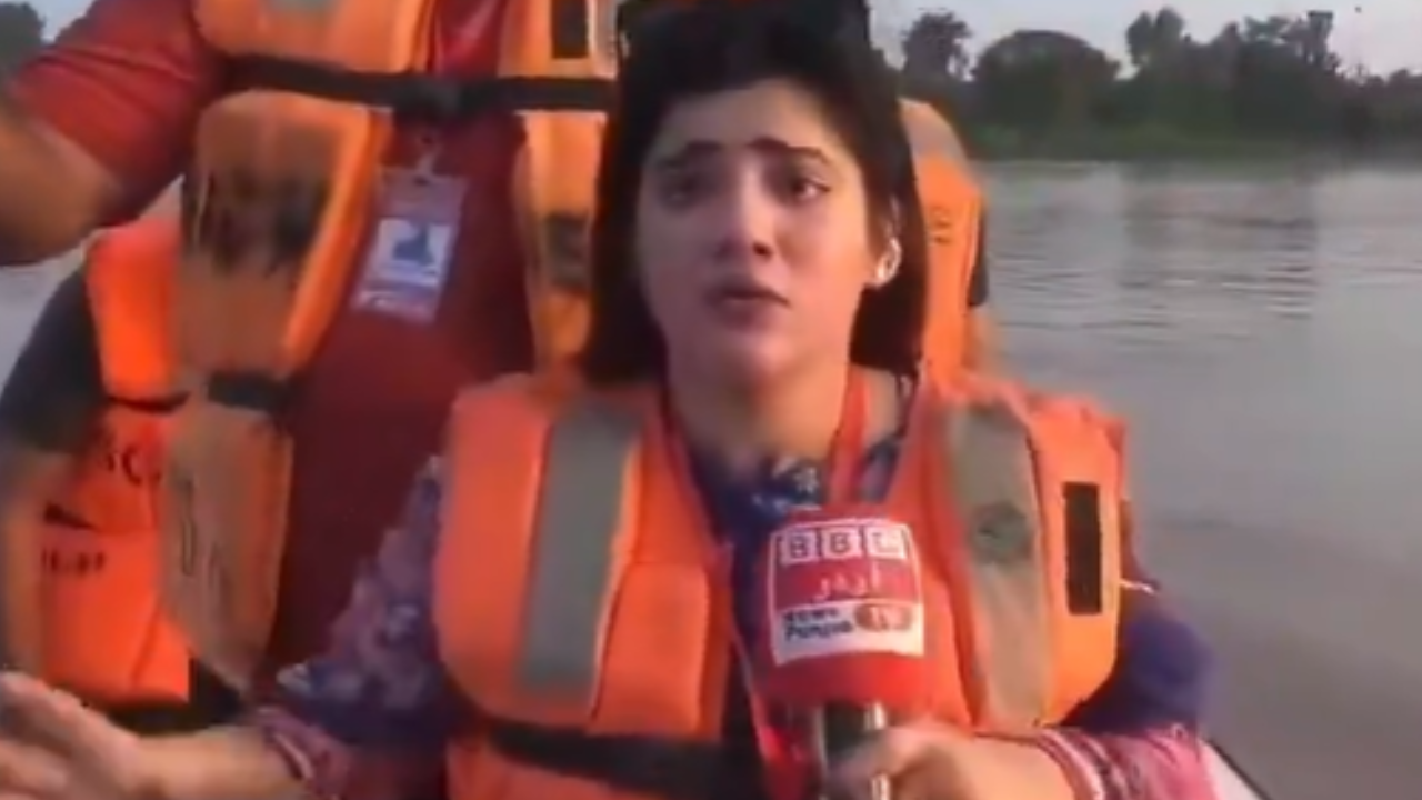Pakistani Tv Reporter Video
