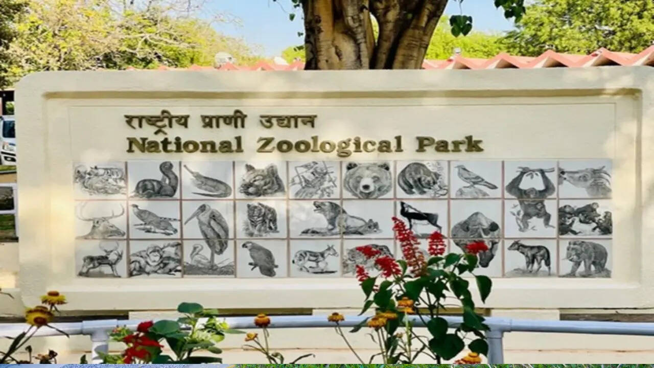 Delhi Zoo Closed (Photo: ANI)