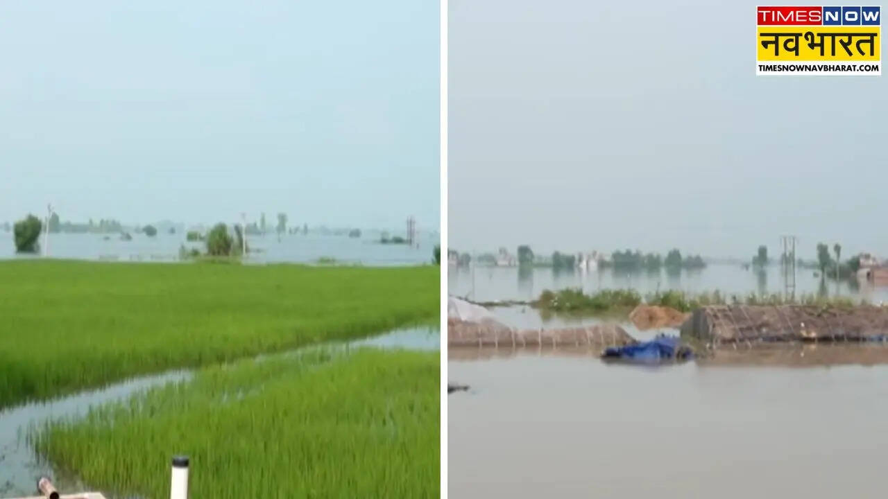 punjab flood