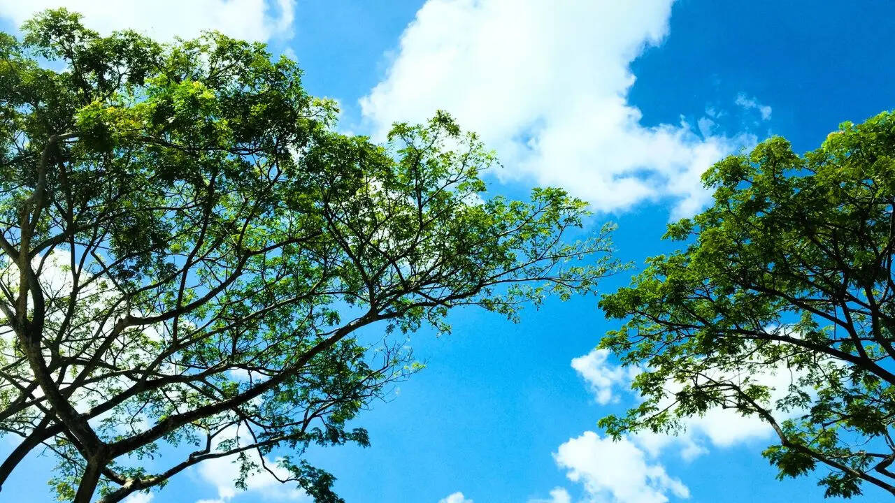 Delhi's air was the cleanest in August (Symbolic Photo: Canva)