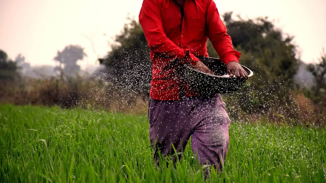 India, China, fertilizer export ban