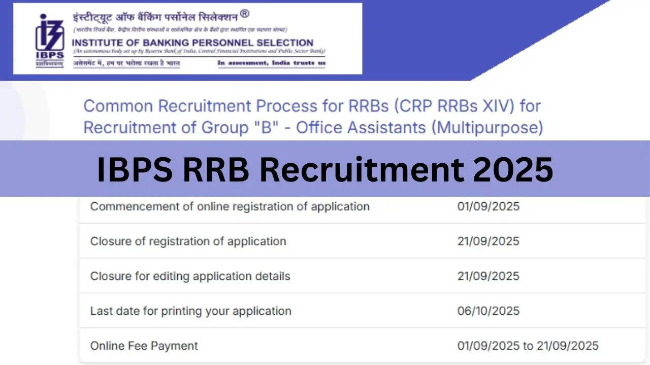 IBPS RRB Notification 2025, IBPS Clerk, PO Recruitment 2025