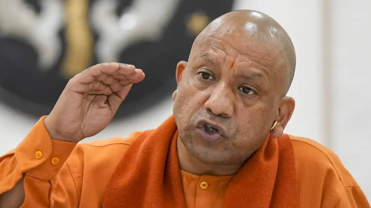 yogi