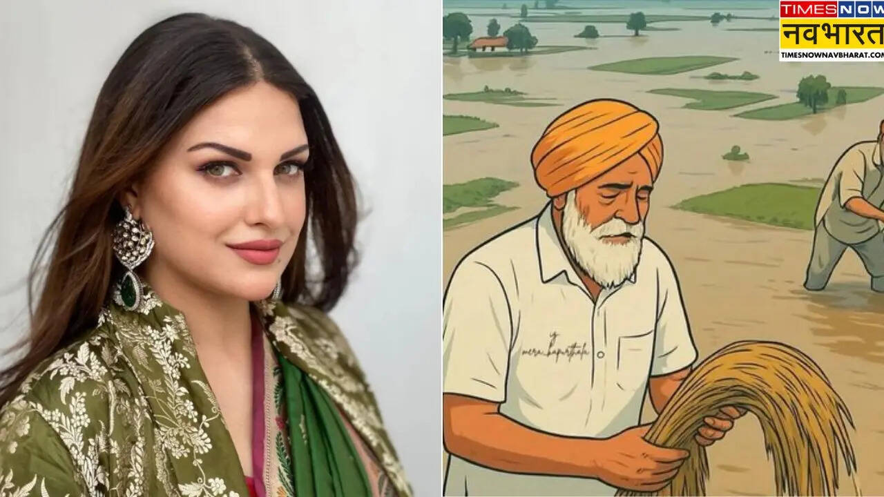 himanshi khurana 2