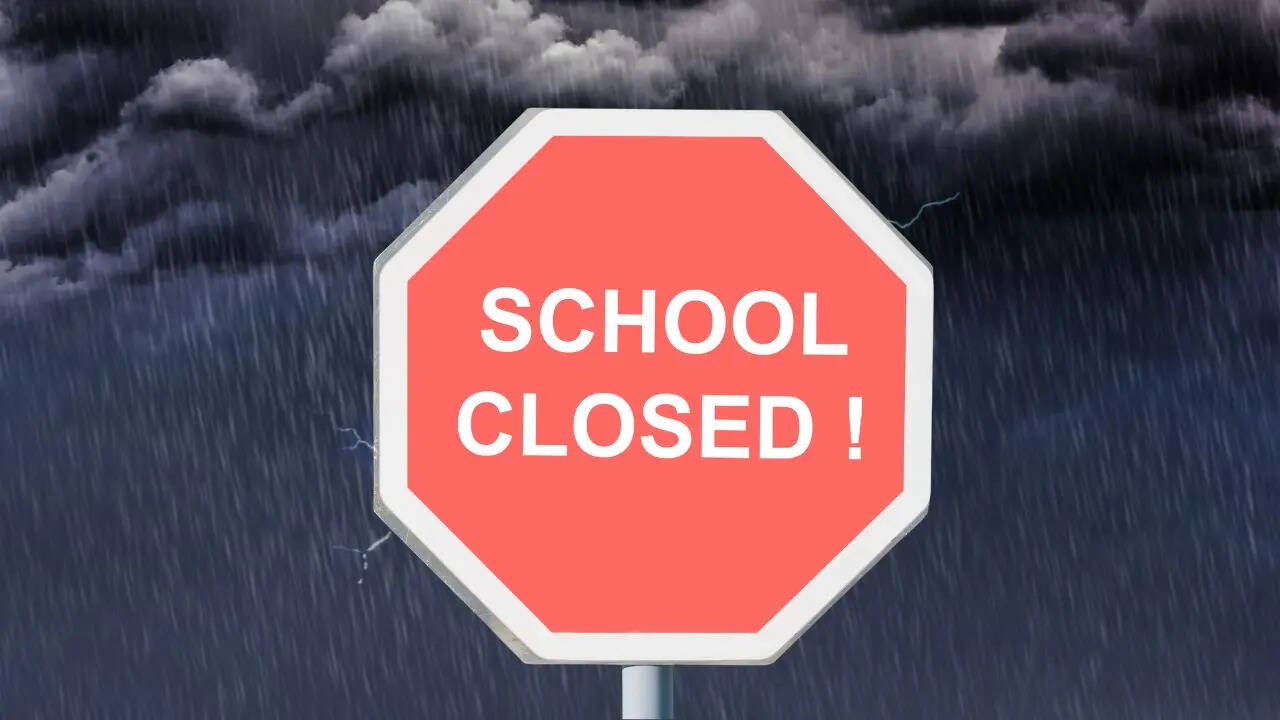 Chandigarh School Closed (Symbolic Photo: Canva)