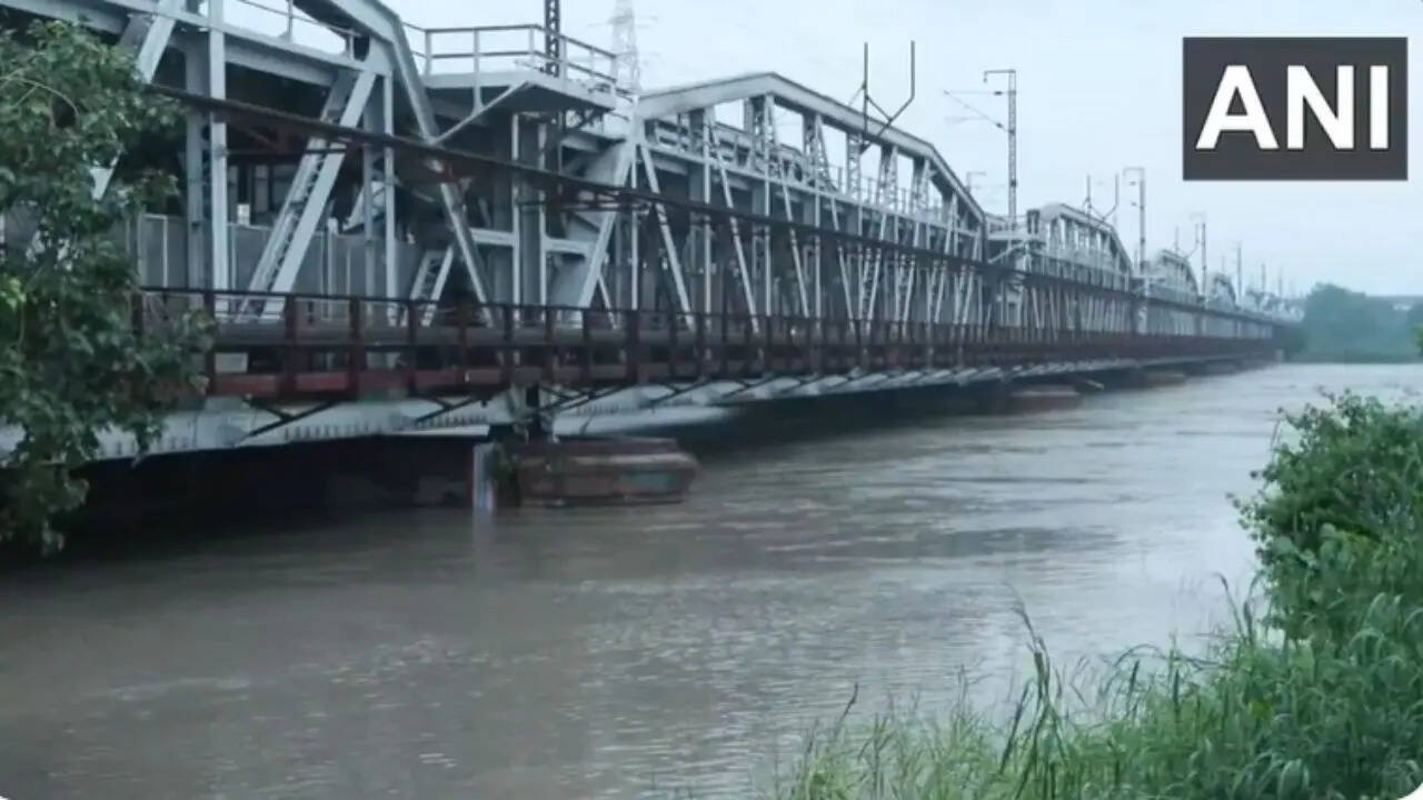 Yamuna in Delhi - ANI