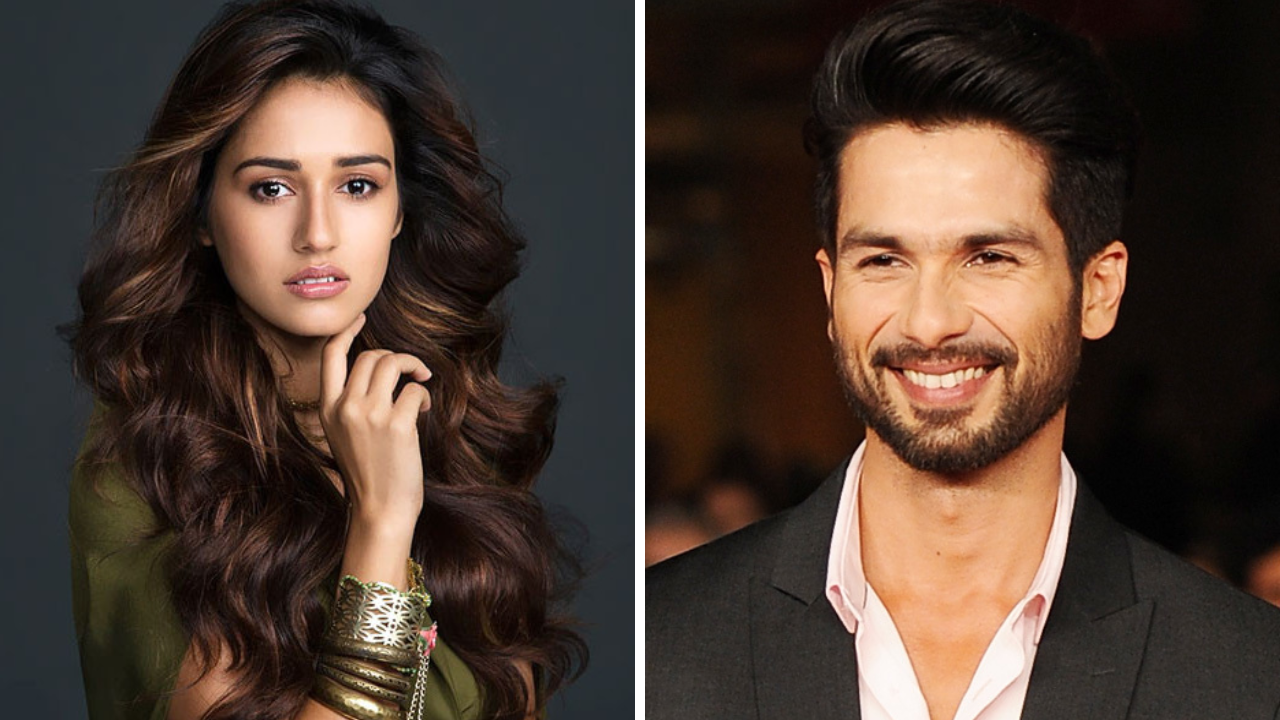 Disha Patani and Shahid Kapoor