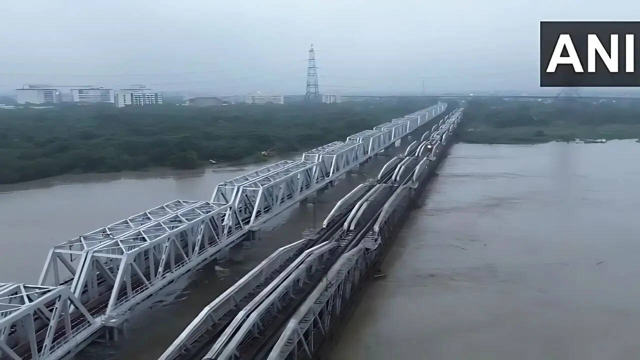 Delhi iron bridge - ANI