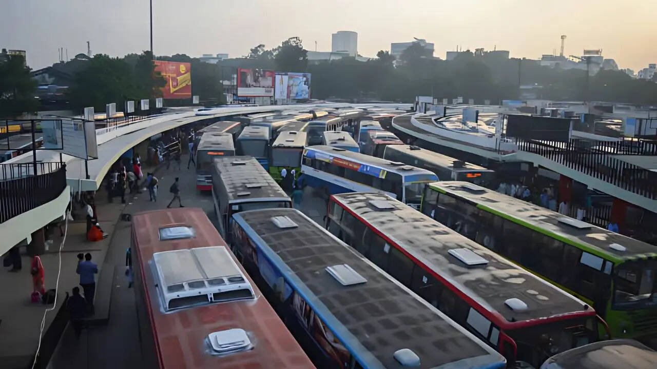 Bus- istock