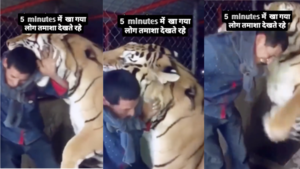 Today Viral Video बाघ ने शख्स पर खतरनाक अंदाज में किया हमला फिर जो हुआ उसे दिल थामकर देखें