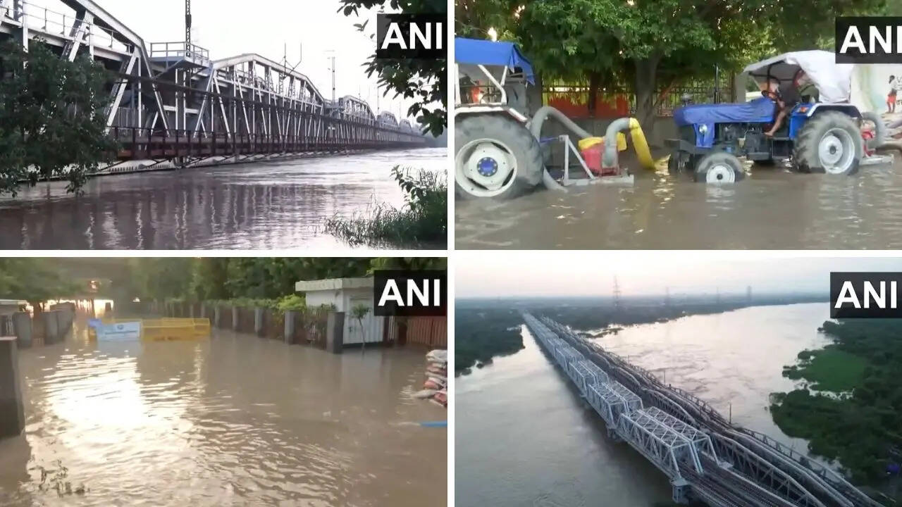 delhi flood- ani
