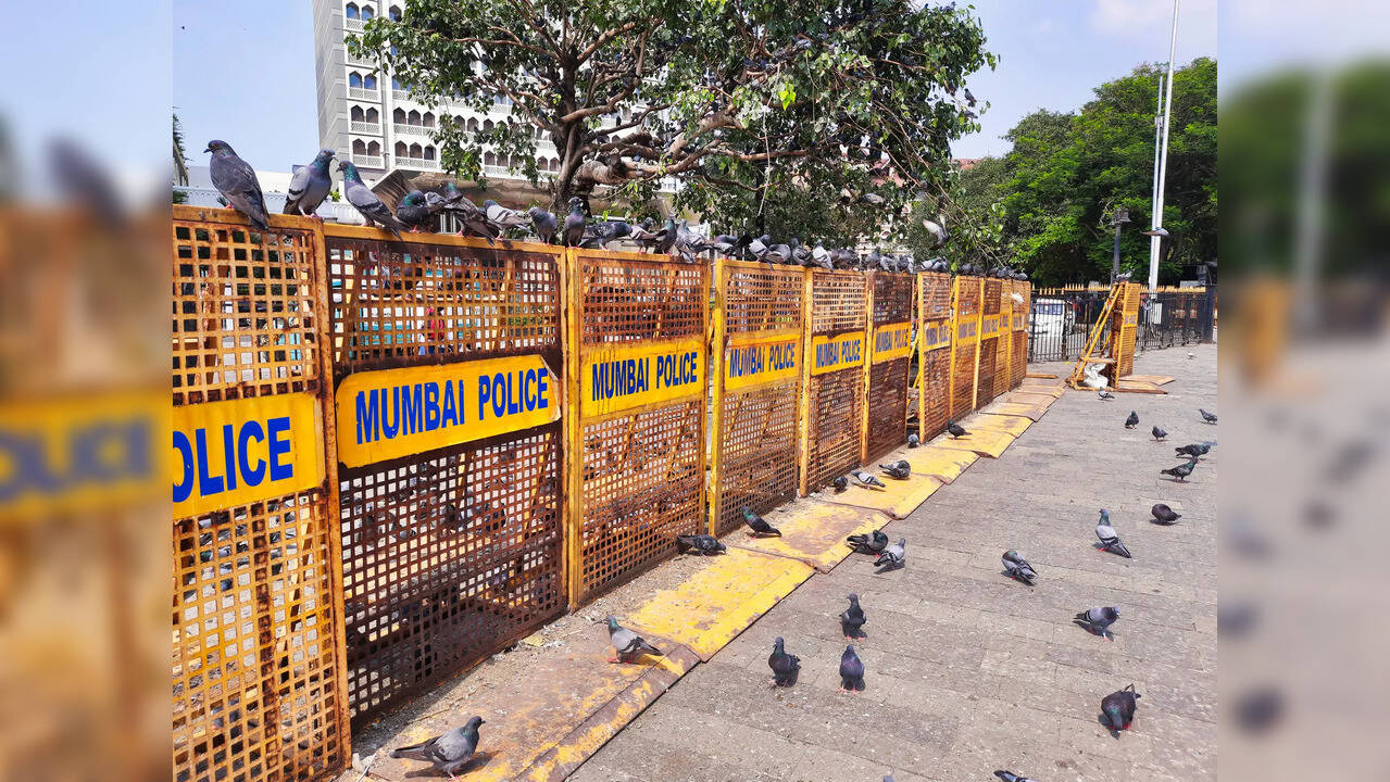 Mumbai Bomb Threat: मुंबई में बम विस्फोट की धमकी, पुलिस बोली- 'यह एक फर्जी कॉल, अलर्ट पर हैं विभाग'