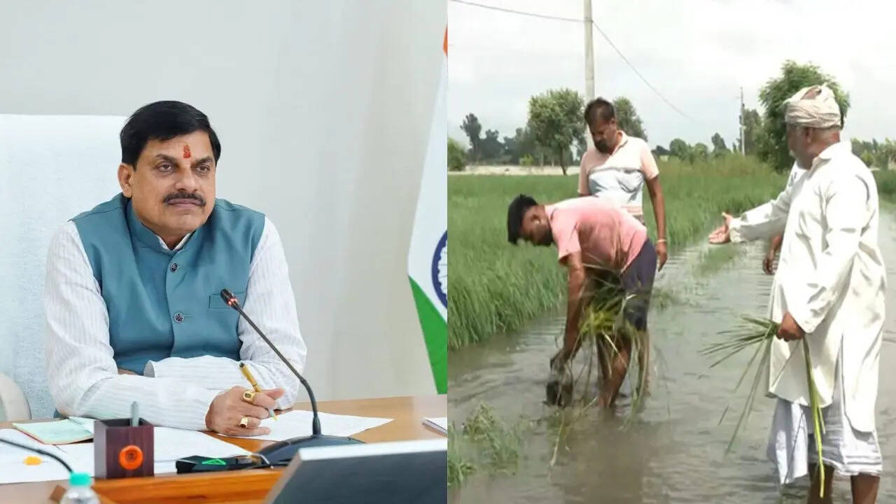 mp flood news