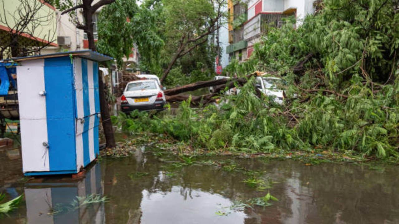 Flood Health And Precaution Tips In Hindi