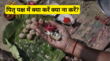 Pitru Paksha Me Kya Kare Kya Na Kare क्या पितृपक्ष में खा सकते हैं प्याज-लहसुन मंदिर जा सकते हैं या नहीं जानें पितृ पक्ष में क्या करें क्या ना करें