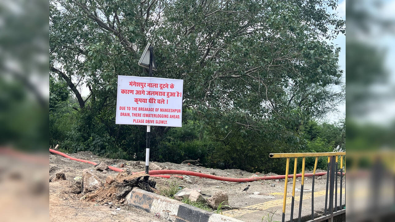 Haryana: मंगेशपुर नाला पर बना बांध टूटा, बहादुरगढ़ और दिल्ली के कई इलाकों में बाढ़, गीतांजलि एनक्लेव में भरा पानी