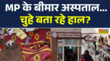एमपी के छतरपुर के जिला अस्पताल में चुहों का आतंक मरीज परेशान