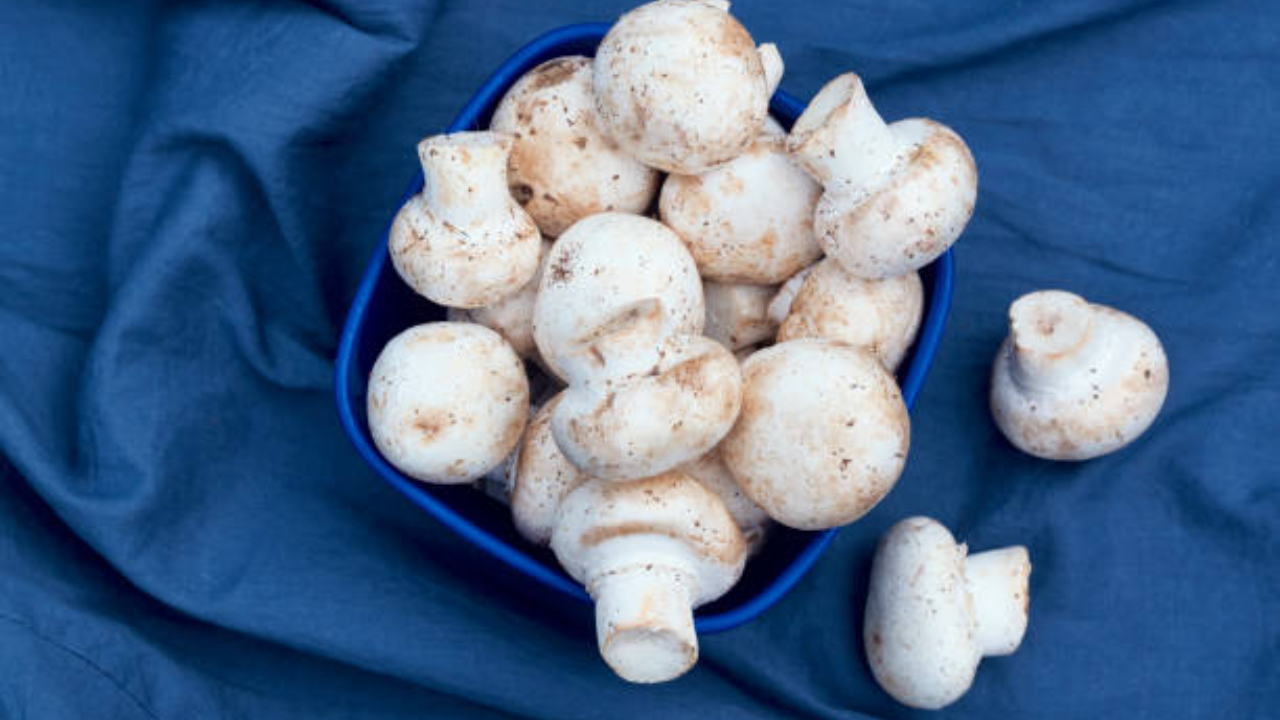 Milky Mushroom Benefits In HIndi