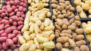Potato Varieties देश में आलू उत्पादन को बढ़ावा देने के लिए 4 नई किस्मों को मंजूरी जानें इनकी खूबियां