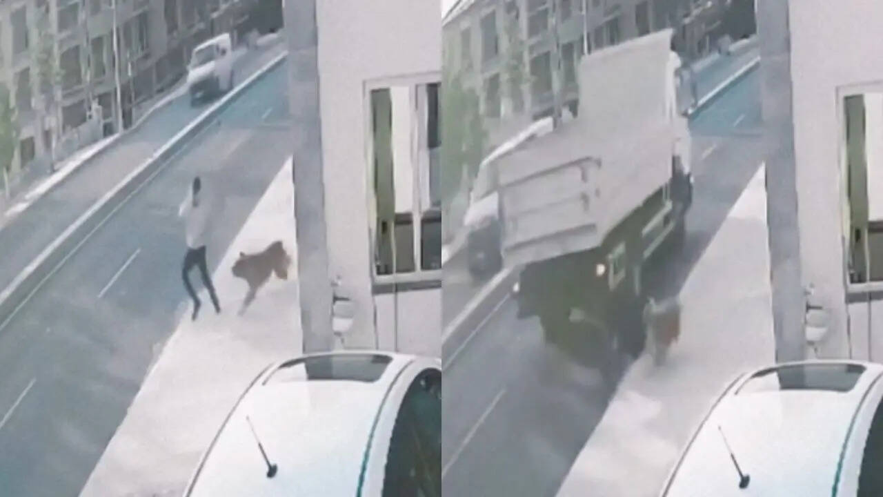 Accident Video