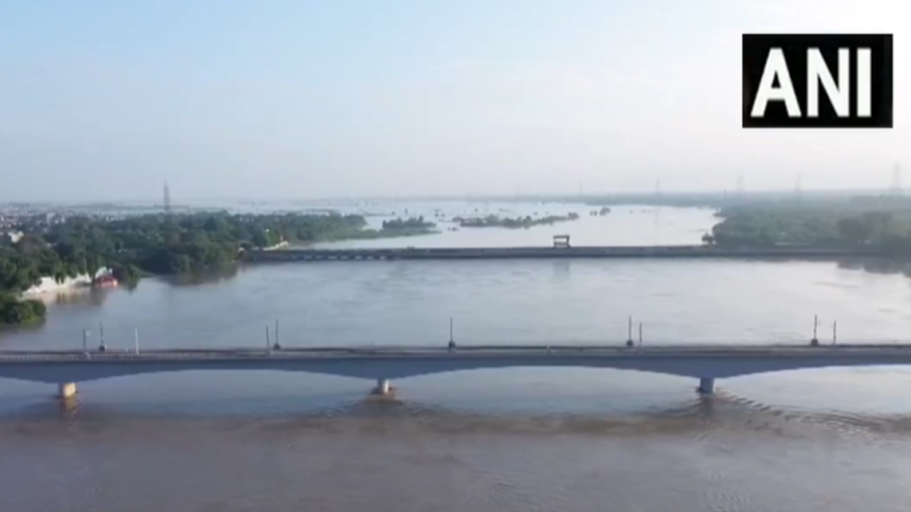Delhi Signature Bridge incident