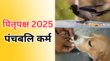 क्या है पंचबलि कर्म क्यों गाय कौआ कुत्ते को कराया जाता है भोजन जानें श्राद्ध में पंचबिल का महत्व और इसे करने का सही तरीका