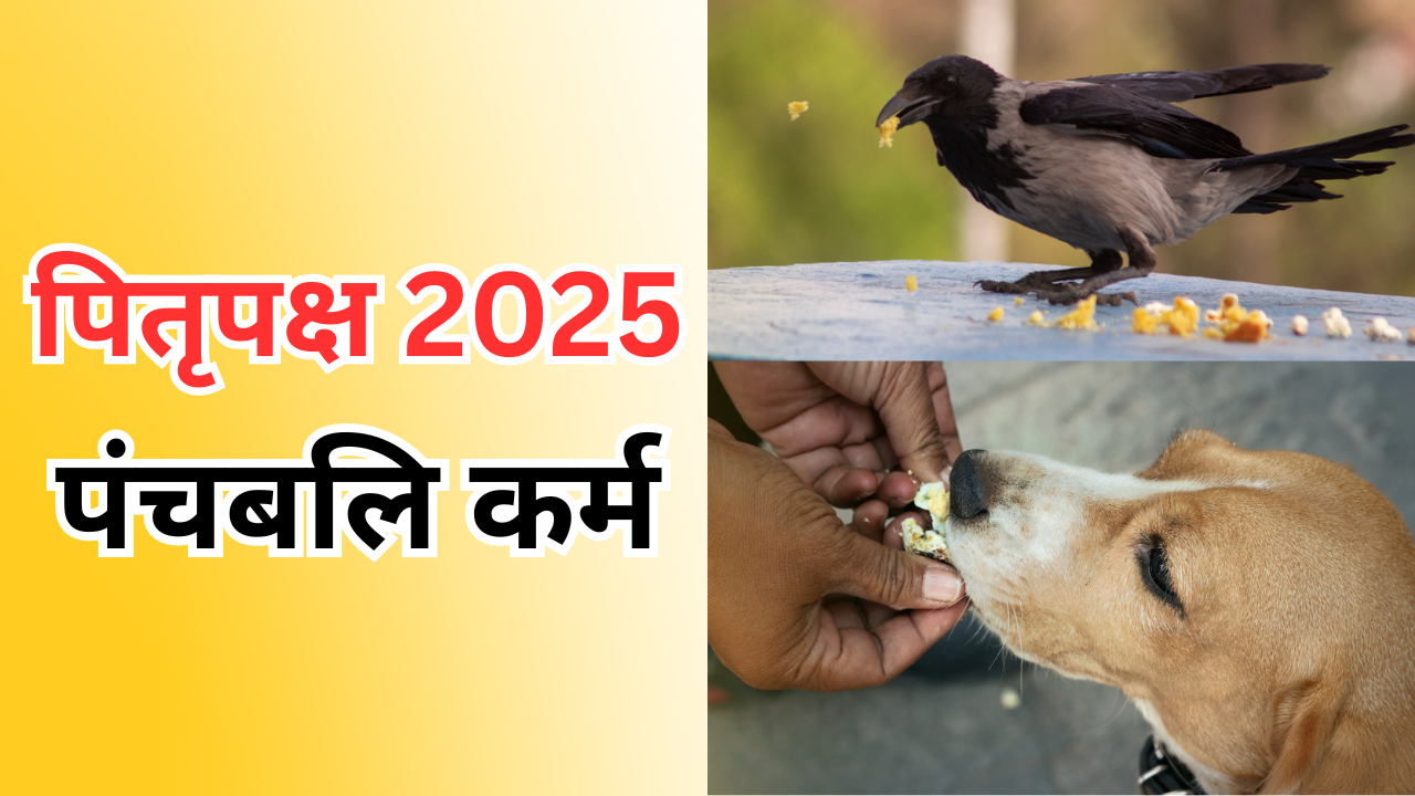 पंचबलि कर्म क्या है, जानें विधि और महत्व (pic credit: iStock)