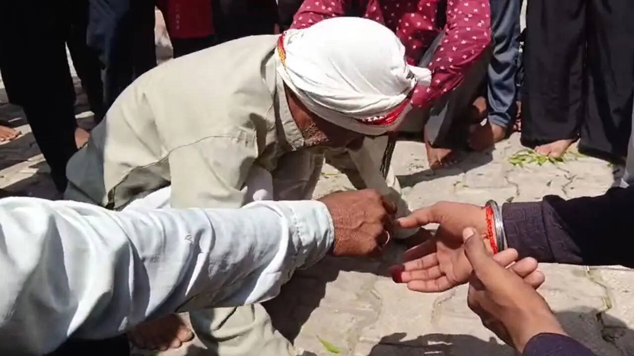 Jhansi Snake Bite