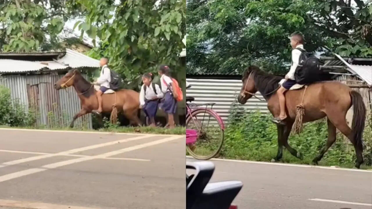 School Kid Rides Horse
