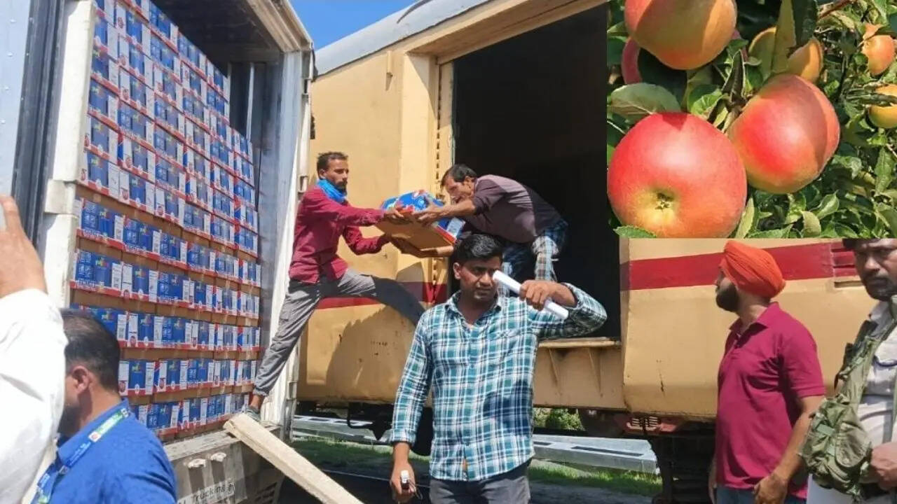 train for Kashmir apple