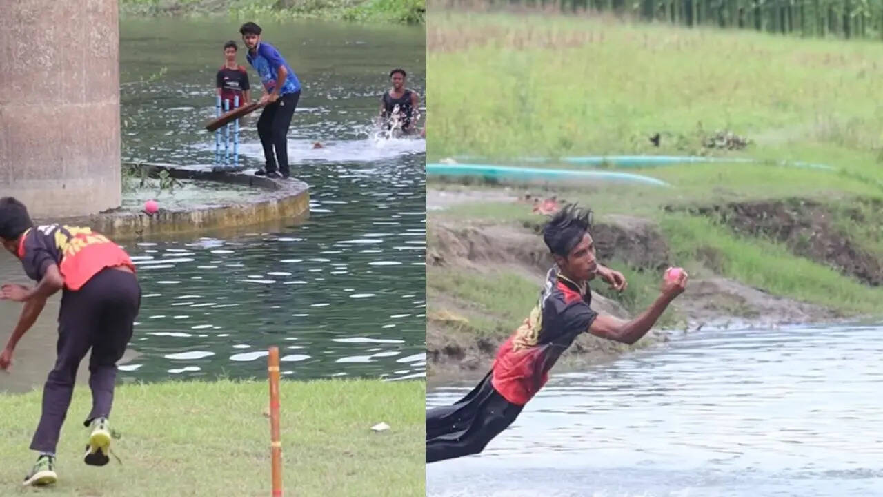 cricket video
