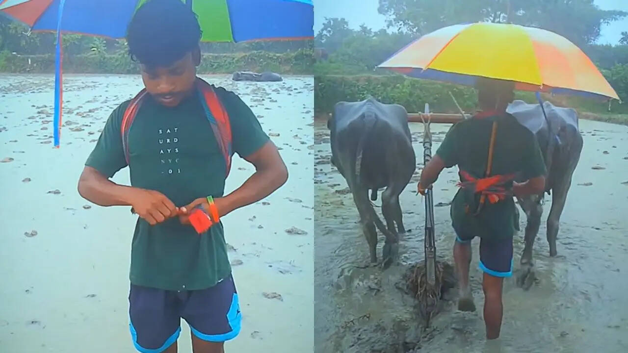 umbrella video