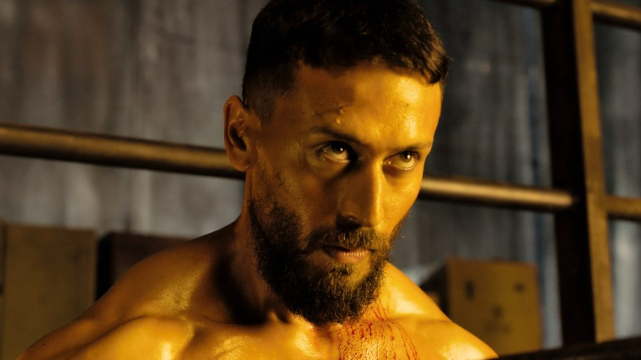 Baaghi 4 Box Office Day 7
