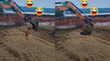 JCB ड्राइवर ने डोगेश भाई की करा दी मौज लोडर बकेट पर बैठाकर कराई ऐसी सैर कि मजे से झूमने लगा कुत्ता