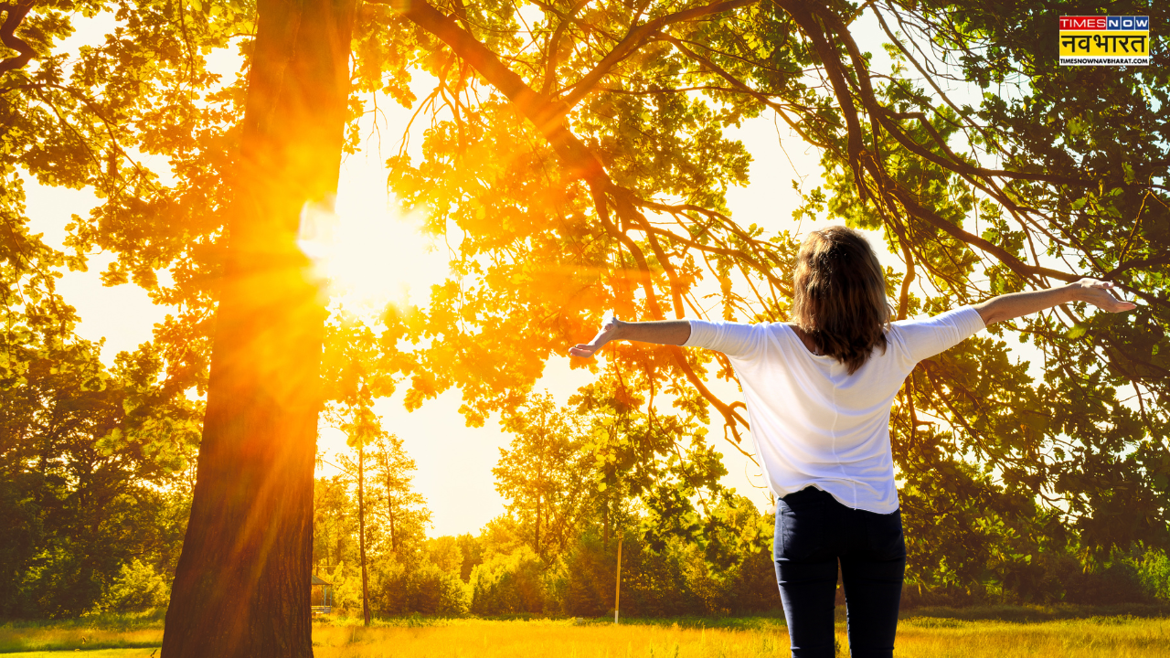 Why is Sunlight Important