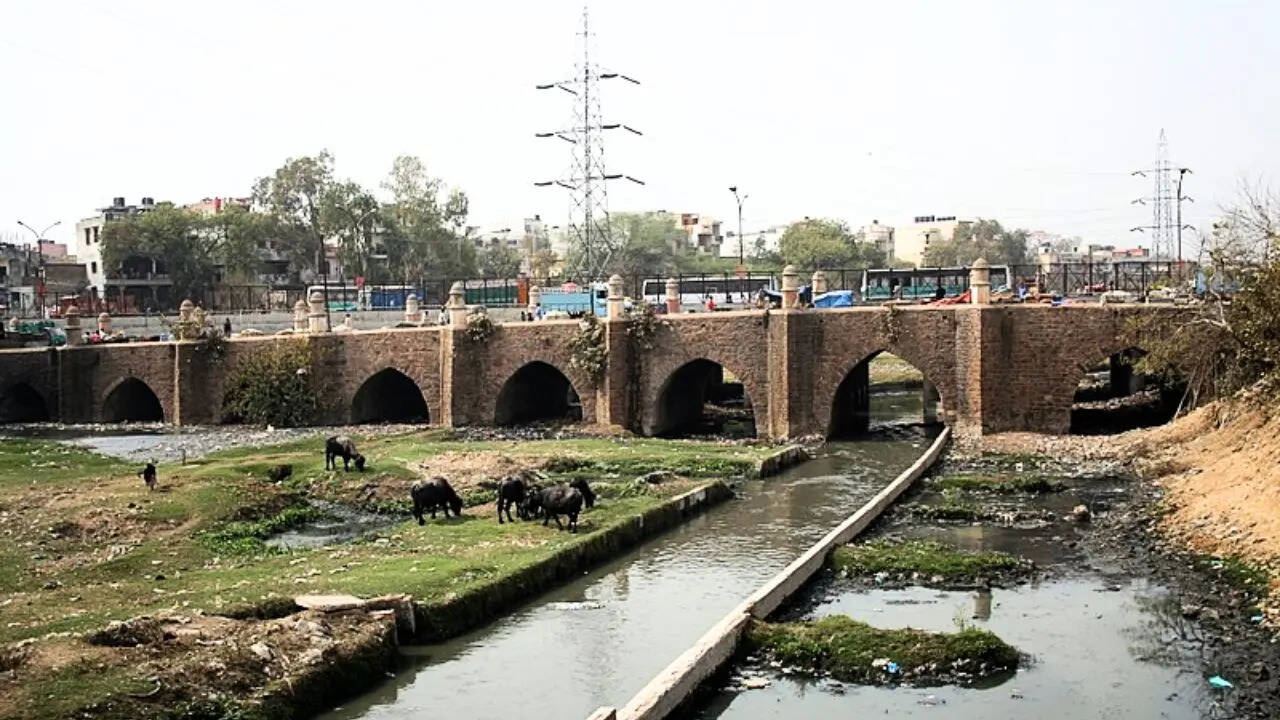 Barapullah Bridge, Delhi (Photo: Wikipedia)