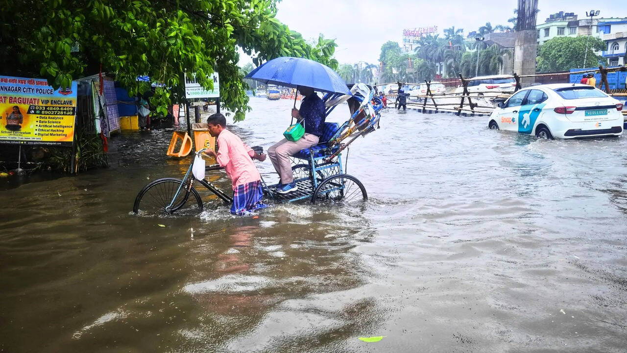 Delhi PWD Unveils Advanced Drainage Master Plan (Symbolic Photo: Canva)