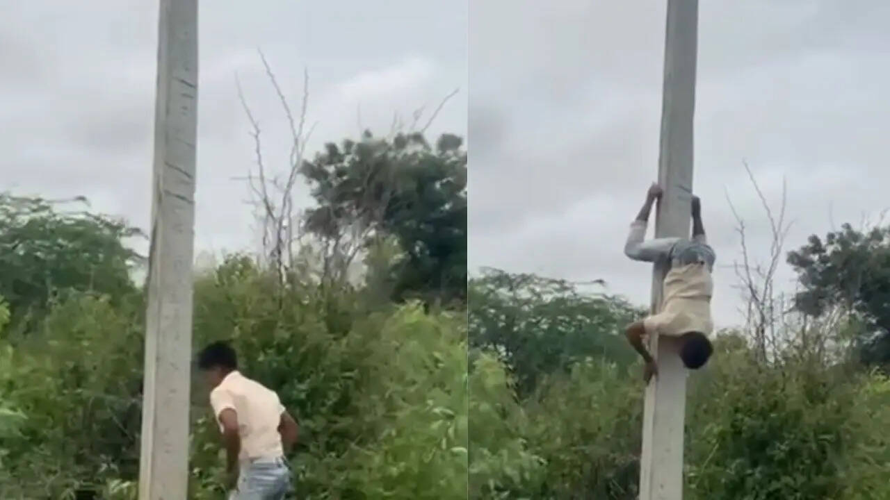 poll video