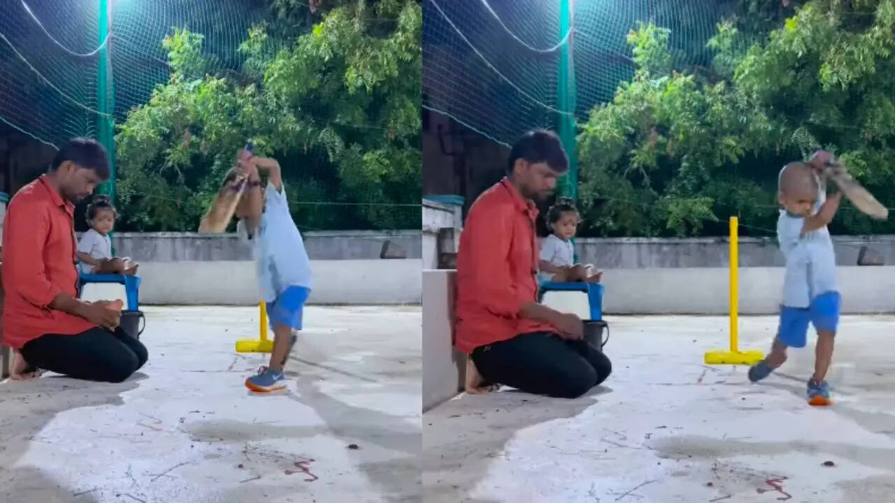 cricket shots