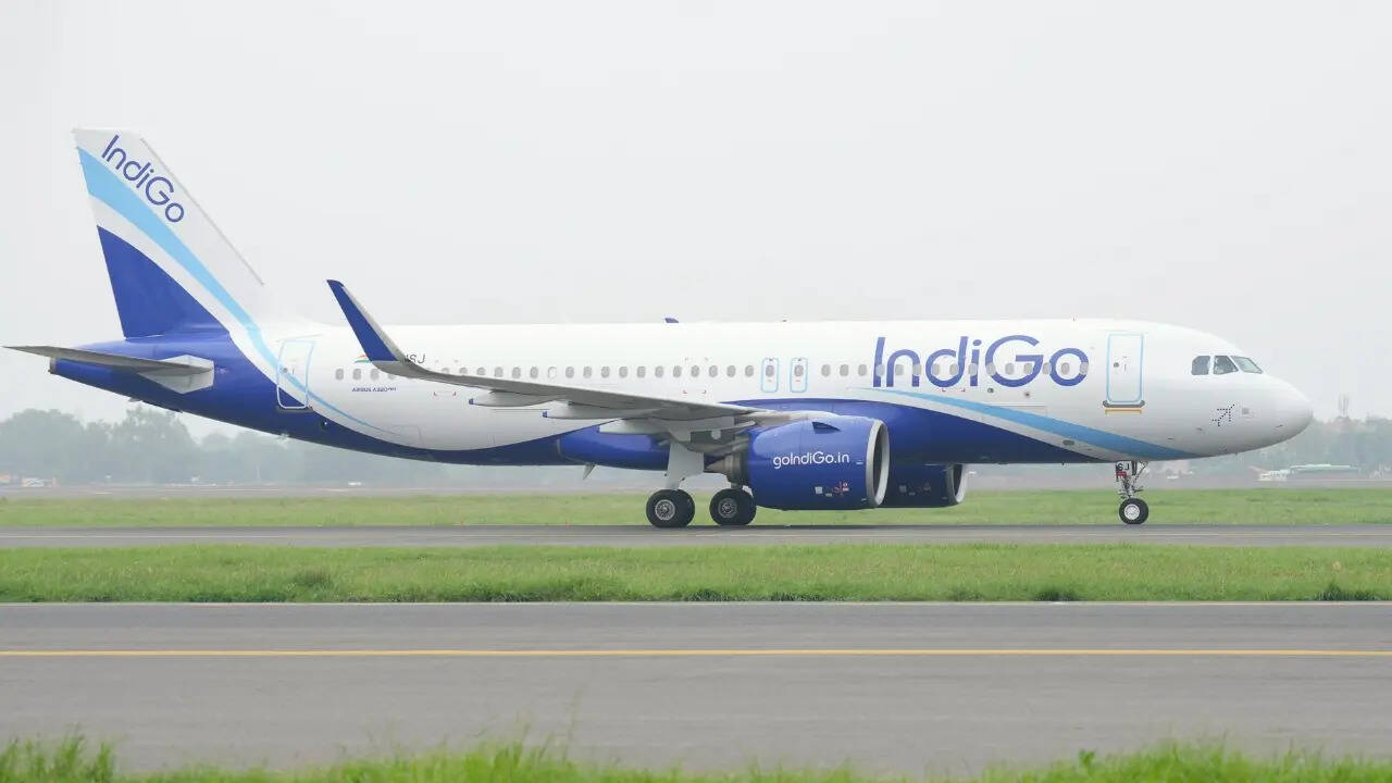 indigo flight