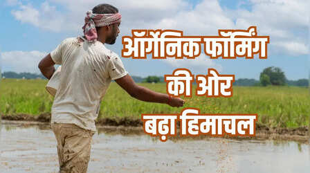 हिमाचल प्रदेश में नई क्रांति! प्राकृतिक खेती बनी किसानों की पहली पसंद, ऑर्गेनिक फॉर्मिंग से जुड़े 2.22 लाख किसान