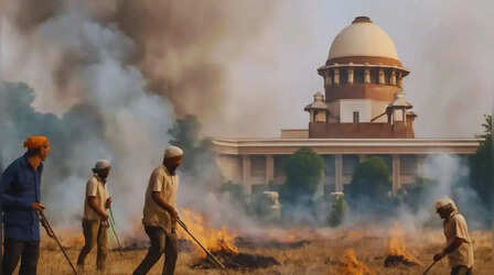 पराली जलाने पर अब हो सकती है गिरफ्तारी, प्रदूषण को लेकर SC सख्त; CJI बोले- पर्यावरण को भी बचाना जरूरी