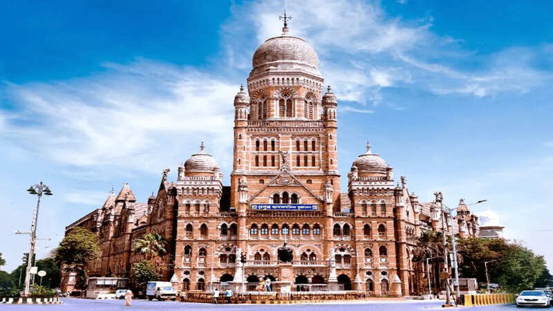 BMC Election