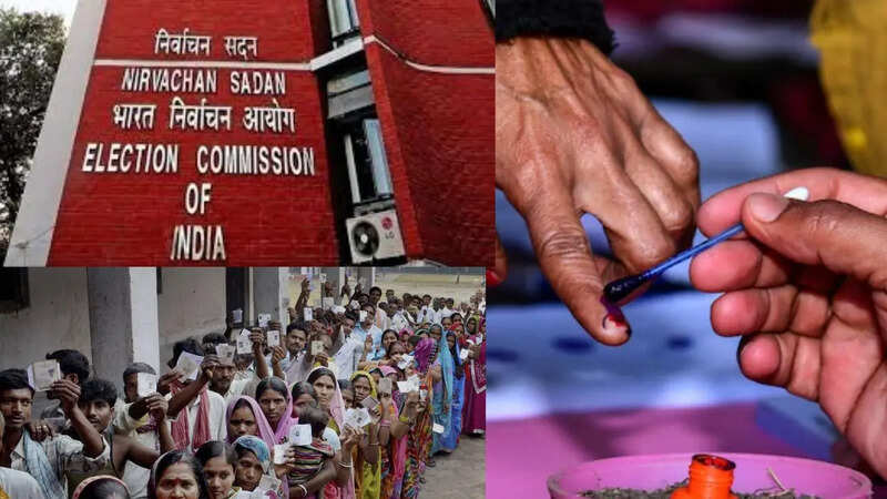 By Elections Date Announce