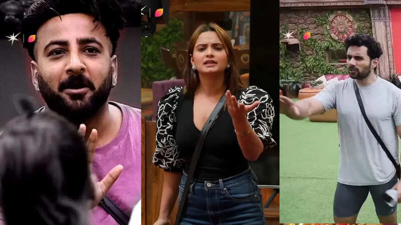Bigg Boss 19 Written Update
