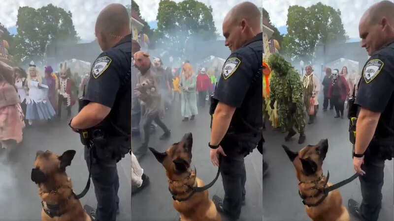 dog surprised to see people heading to a Halloween party