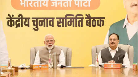 BJP की केंद्रीय चुनाव समिति की बैठक संपन्न; 20 फीसदी विधायकों के कट सकते हैं टिकट, सामाजिक संतुलन पर विशेष ध्यान