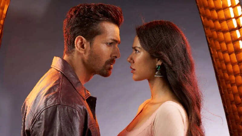 Sonam Bajwa talk about Rejecting Bollywood offers