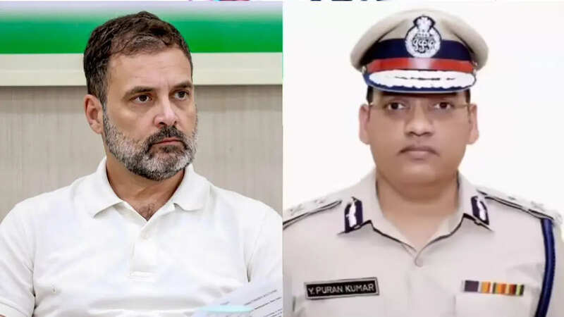 rahul gandhi news (6)